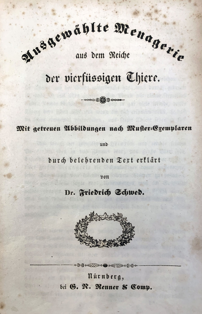 Dr. Friedrich Schwed (Friedrich Schultheiss), Vierbeiner
