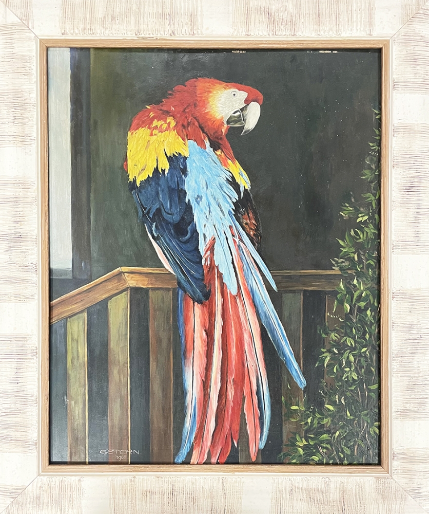 E. Stern, Papagei - Roter Ara