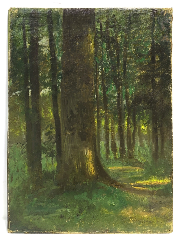 Carl Fleischmann, Forest Study