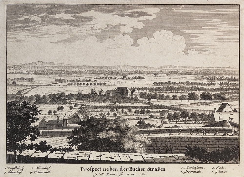 Georg Wolfgang Knorr, Pospect neben der Bucherstraße