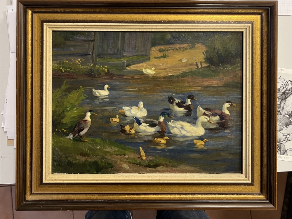 Hans Maulwurf, Enten im Teich