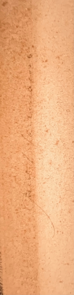 Paul Herrmann, Liegender Akt