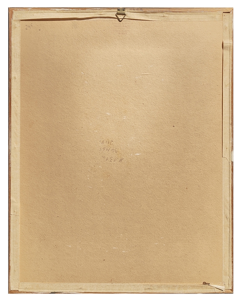 Thomas Bachmeier, Nürnberger Burggraben im Winter