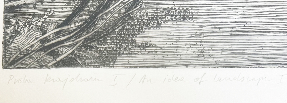 Andrzej Pietsch, Landscape Study I