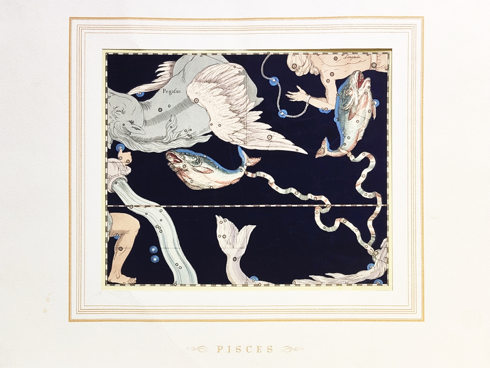 Johann Bayer, Pisces Zodiac sign