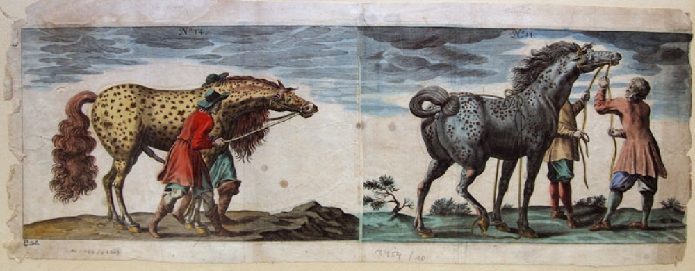 Peter Troschel, Pferde