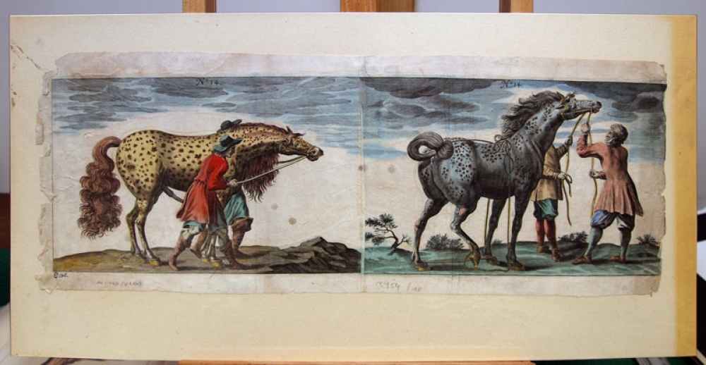 Peter Troschel, Pferde