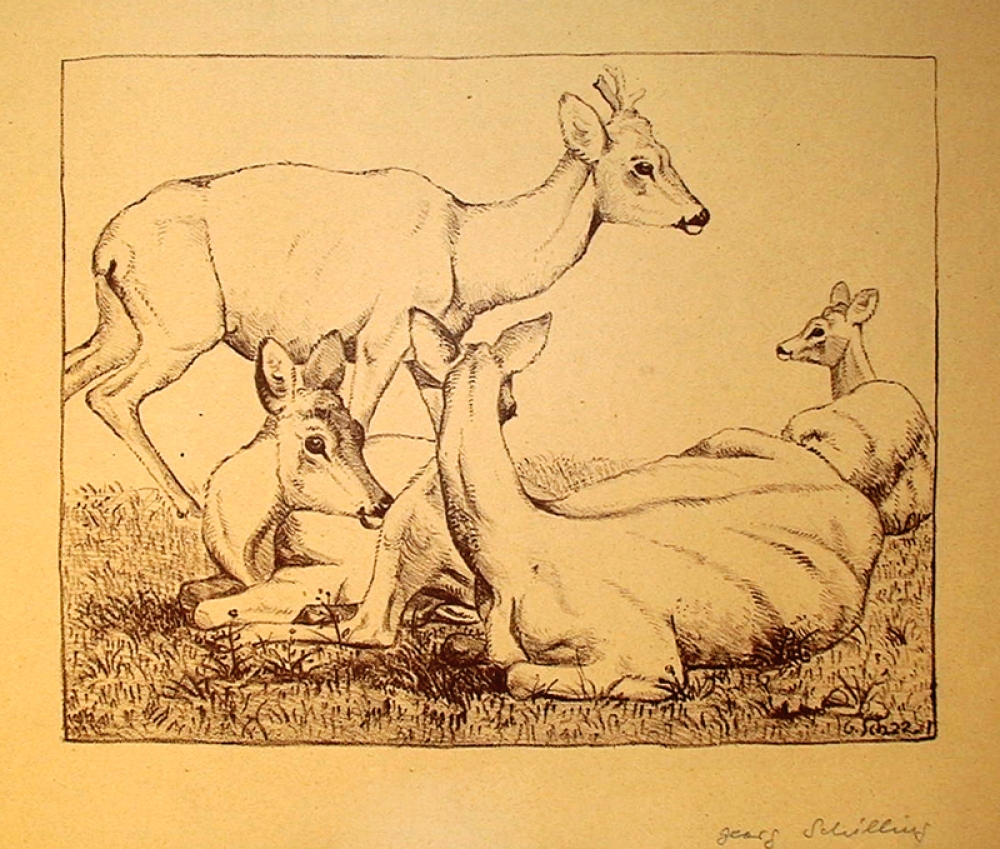 Georg Schilling, Rehe