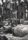 Franz Hein, (1863-1927), Forest Ruins