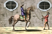 Peter Troschel, Reitschule Kupferstich
