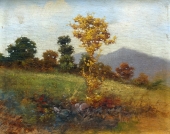 Miklós Neogrády, Landschaft